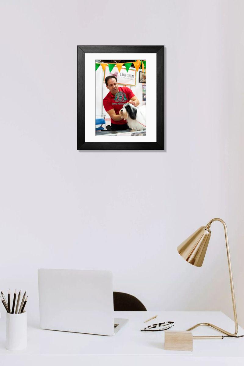 product preview 0