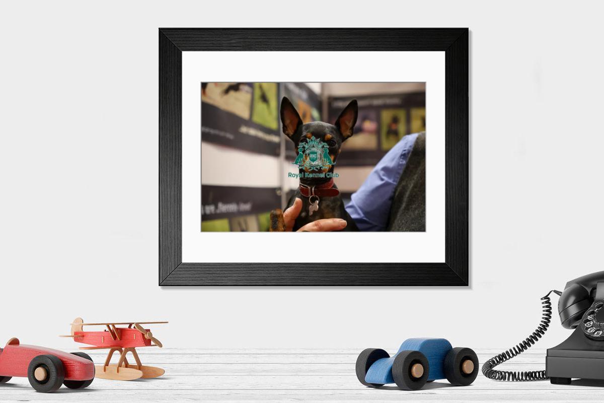 product preview 0