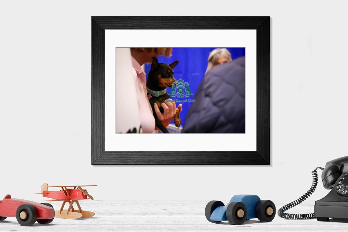 product preview 0
