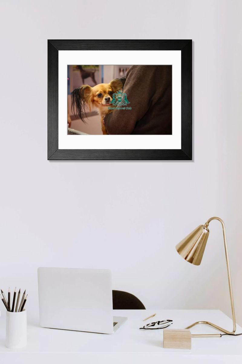 product preview 0