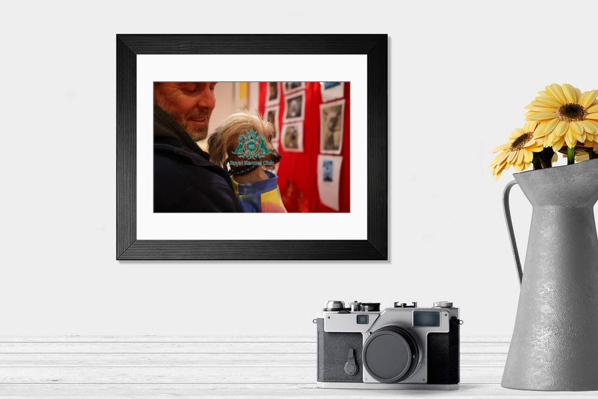 product preview 0