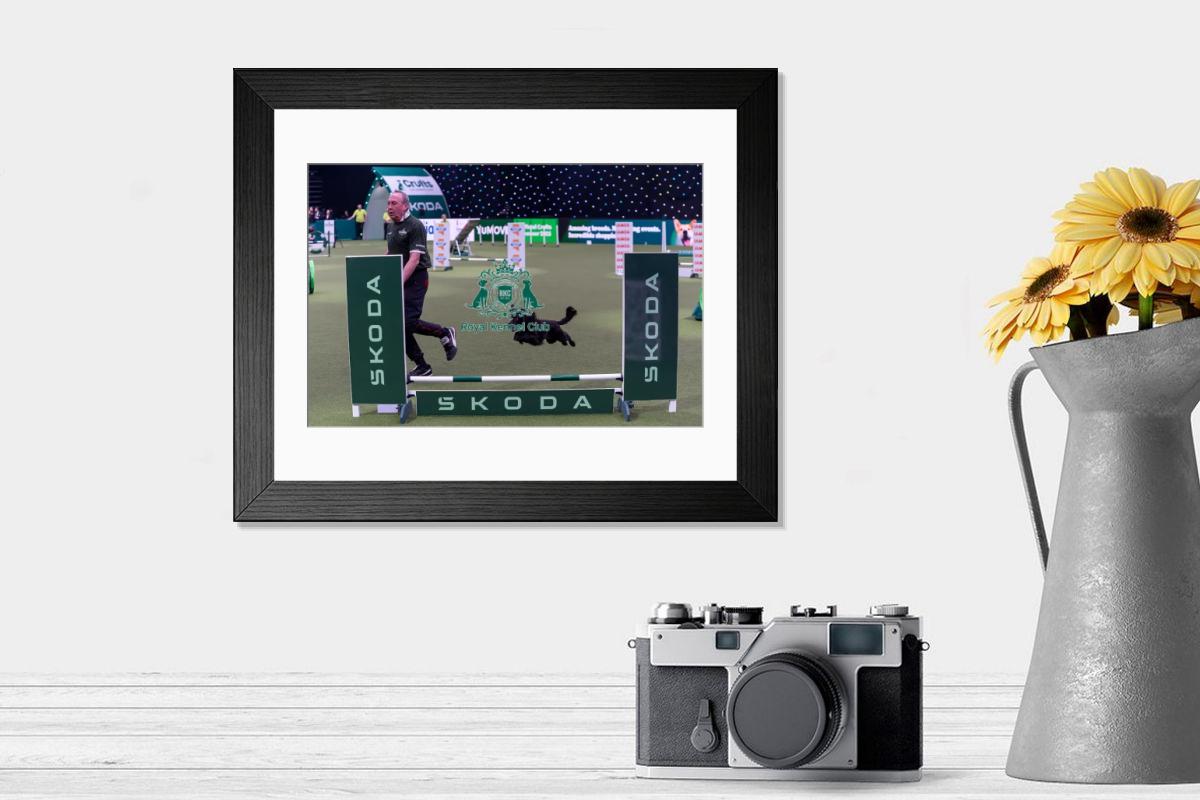 product preview 0