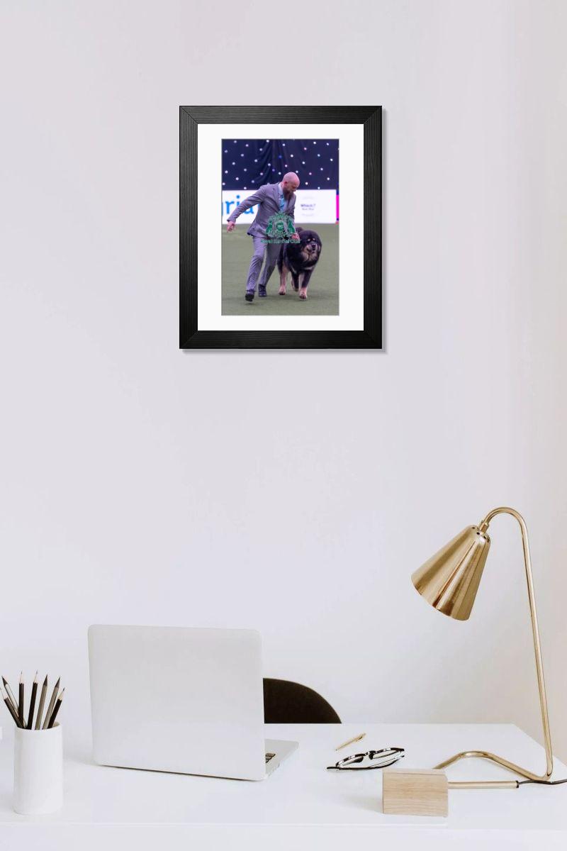 product preview 0