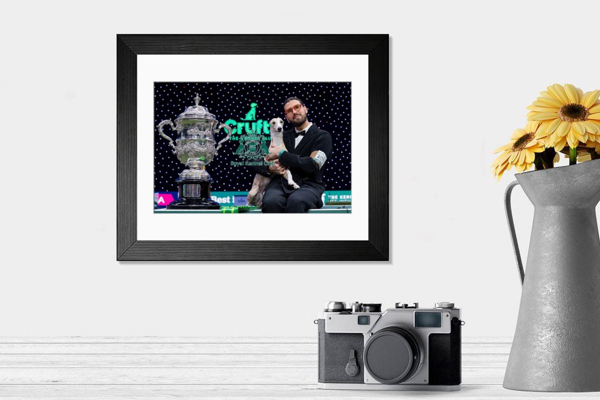 product preview 0