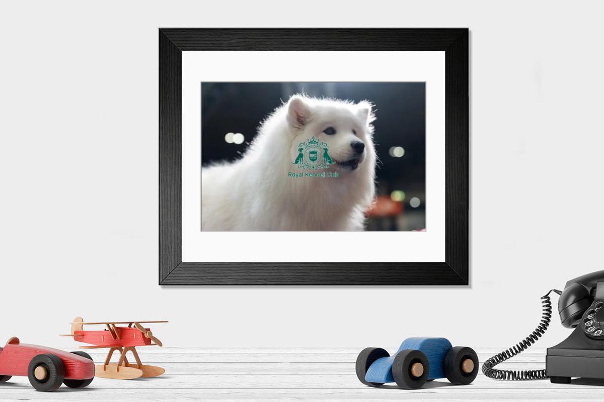 product preview 0