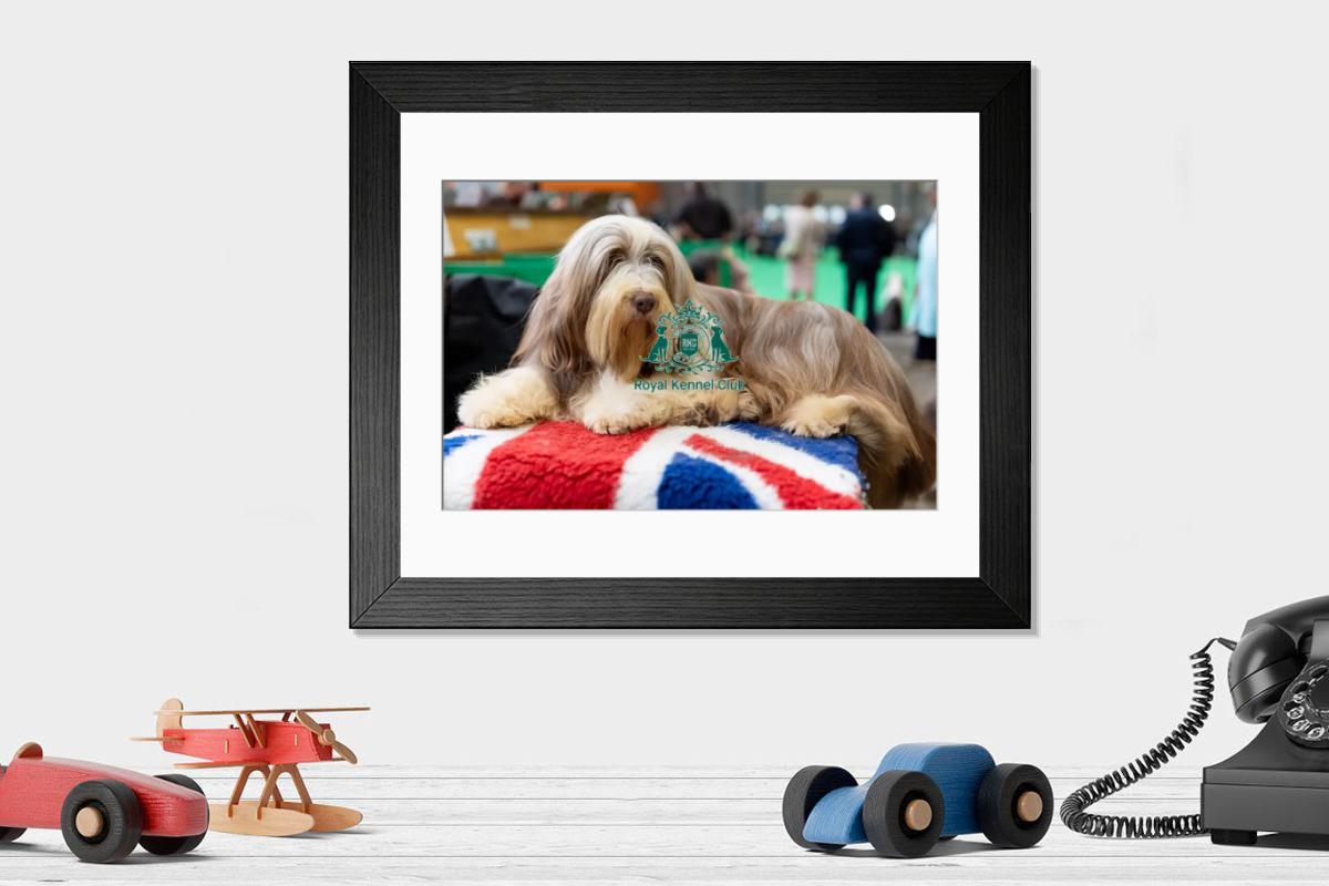 product preview 0
