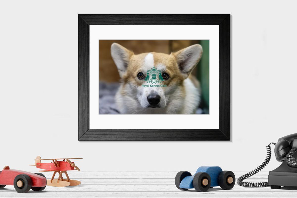 product preview 0