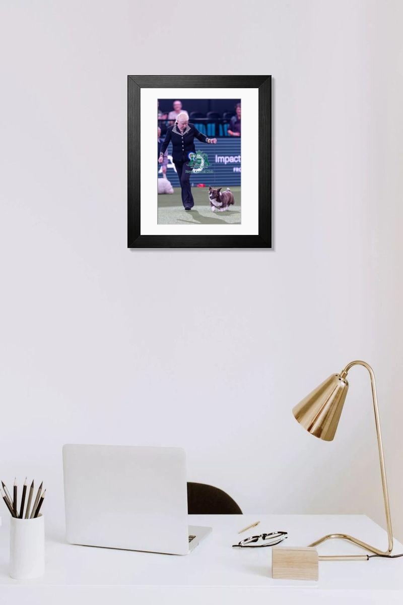 product preview 0