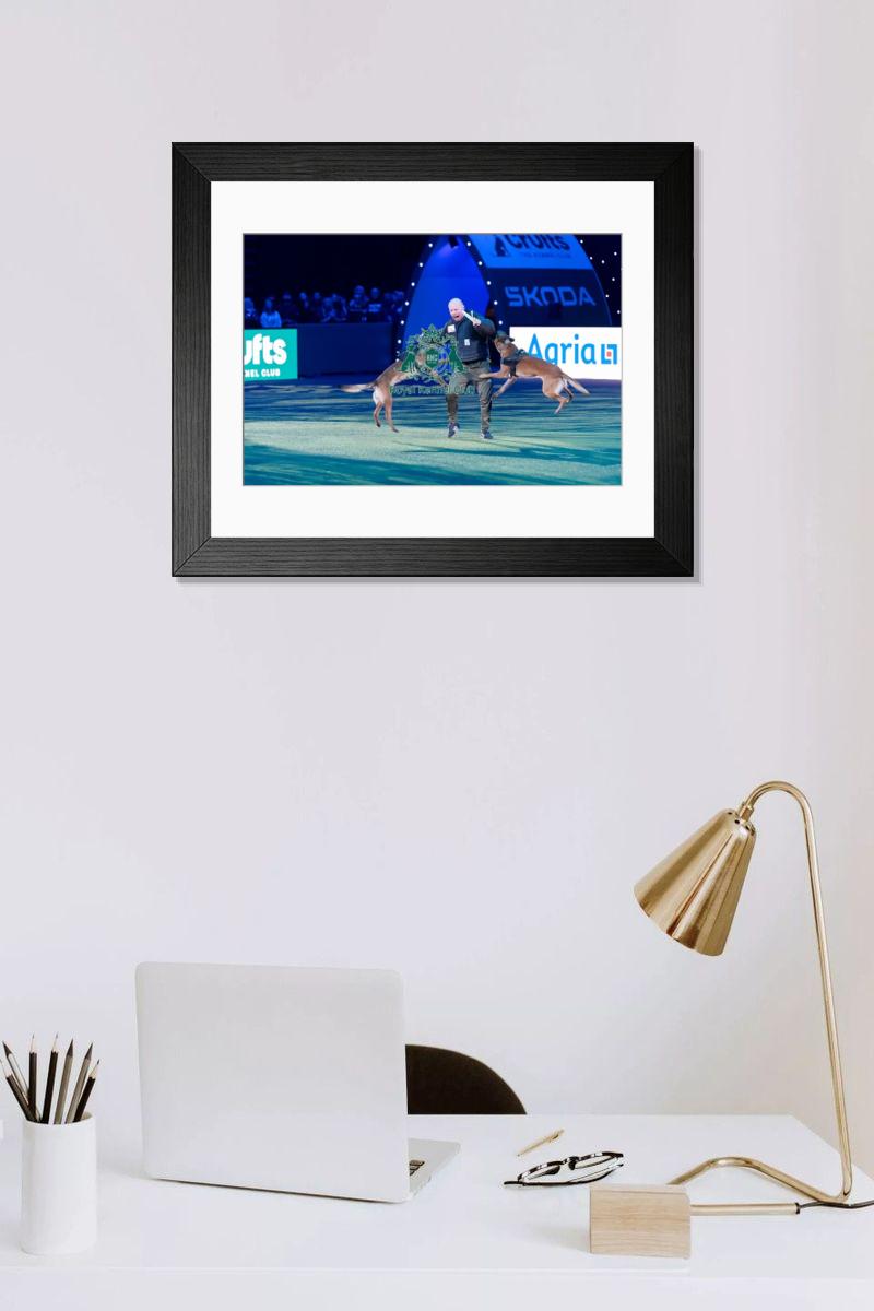 product preview 0