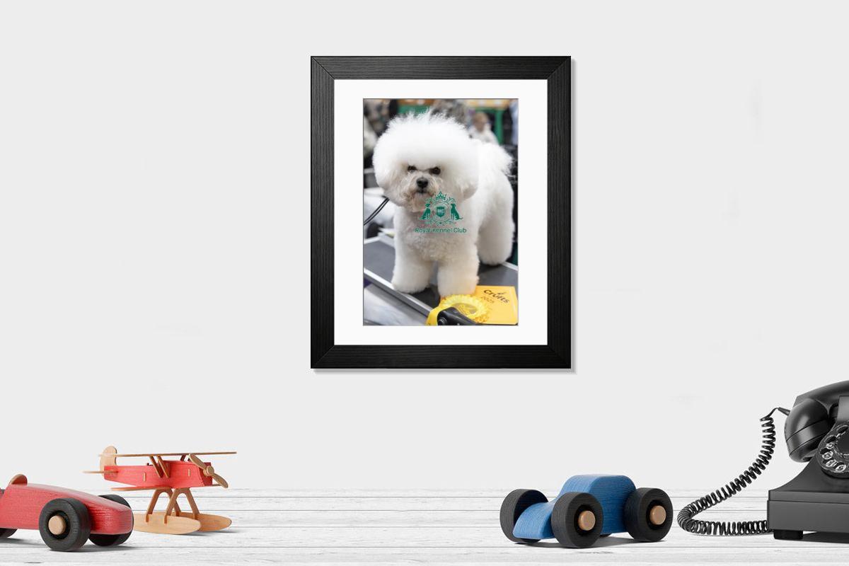 product preview 0