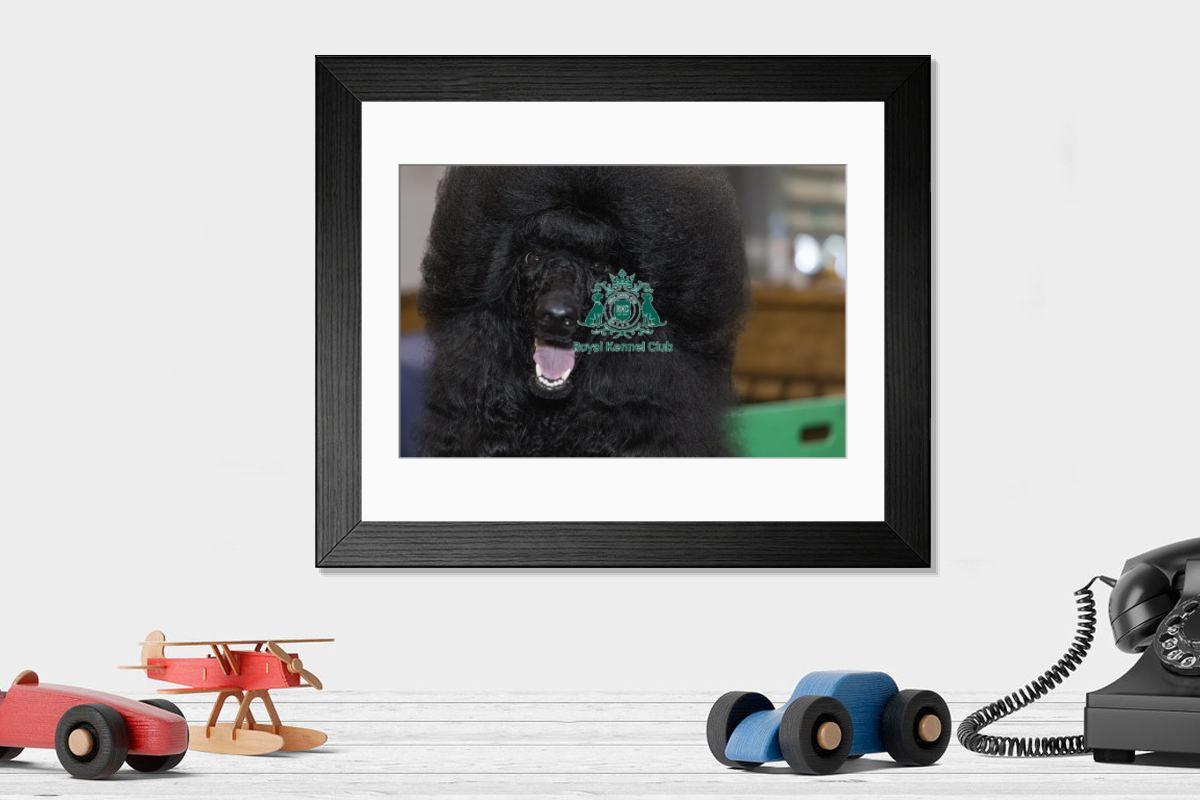 product preview 0