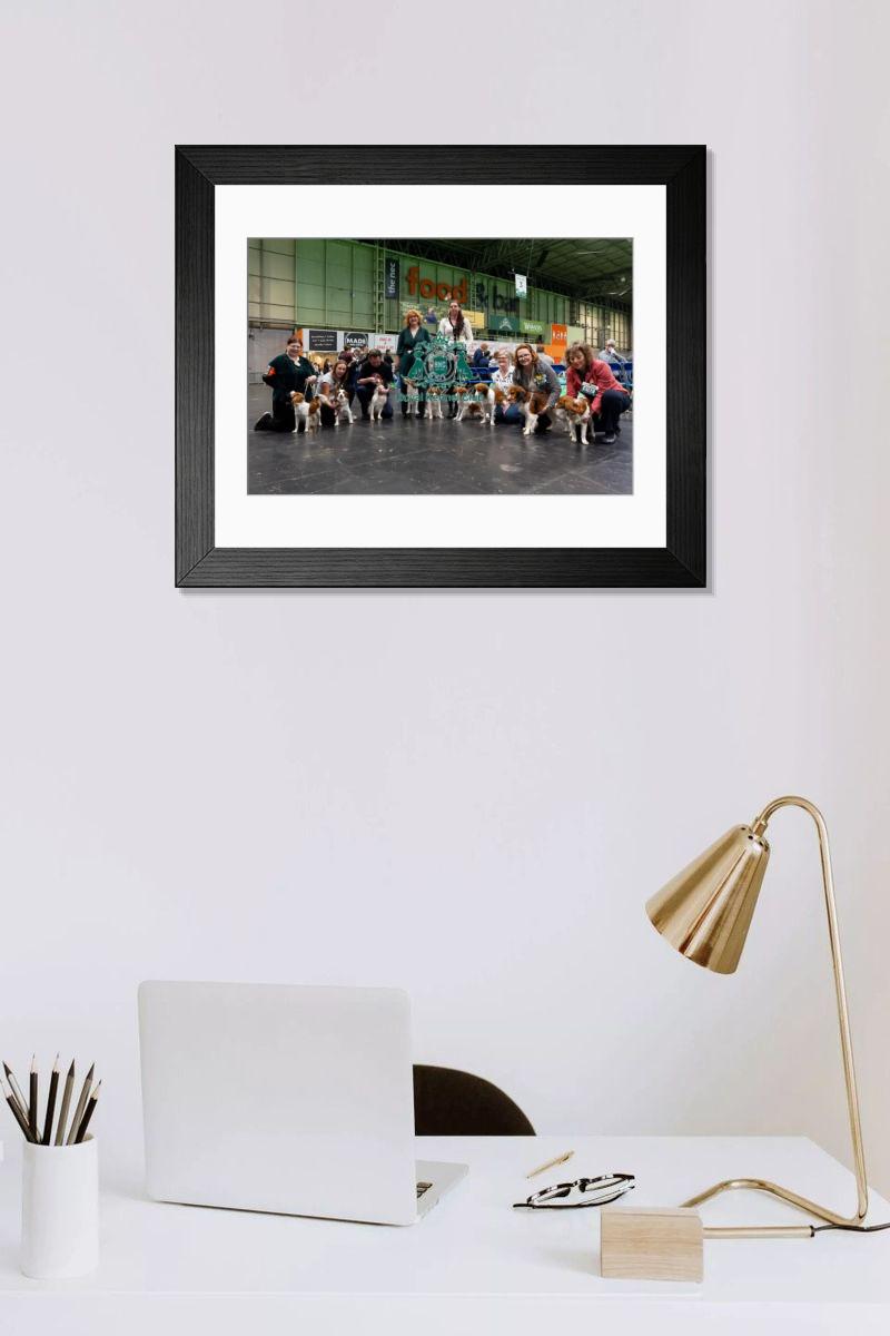 product preview 0
