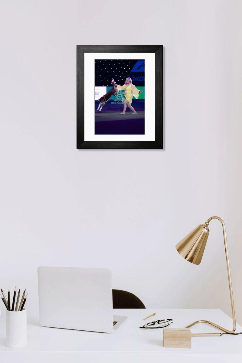 product preview 0