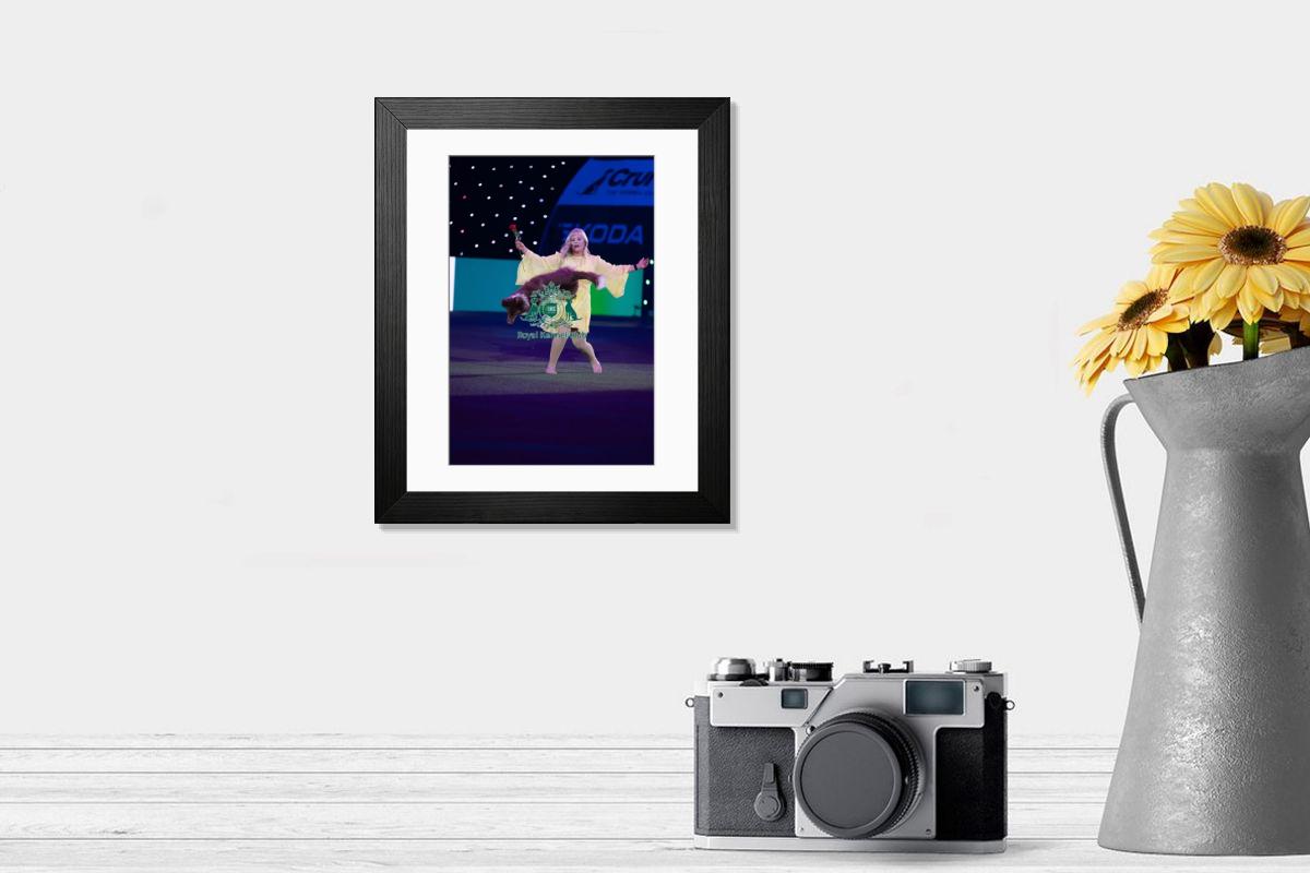 product preview 0
