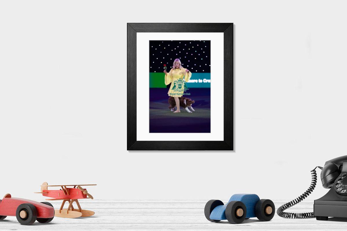 product preview 0