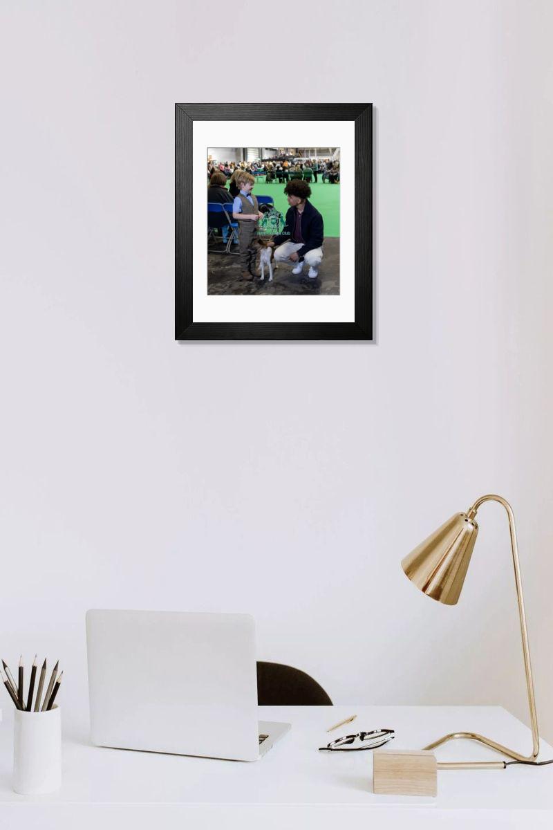 product preview 0