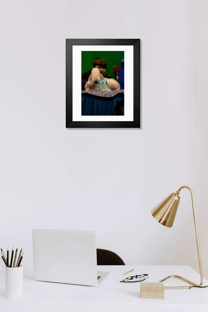product preview 0