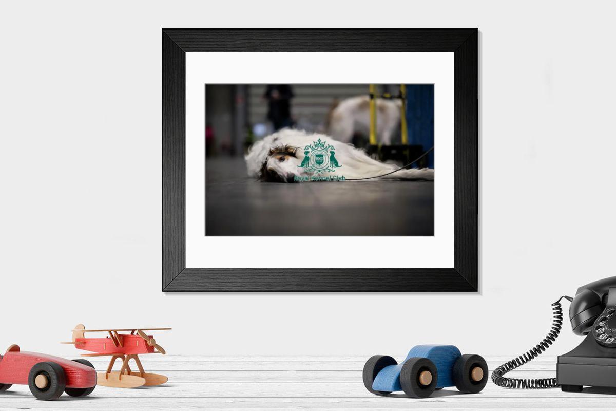 product preview 0