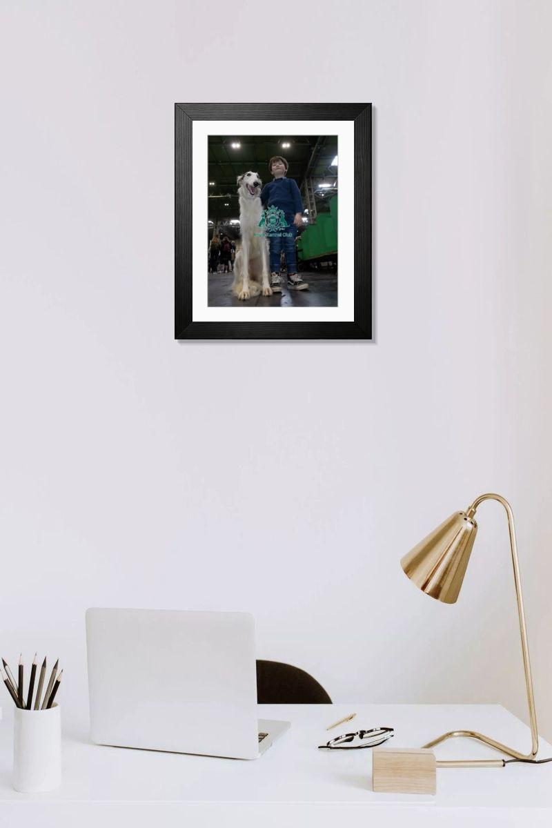 product preview 0