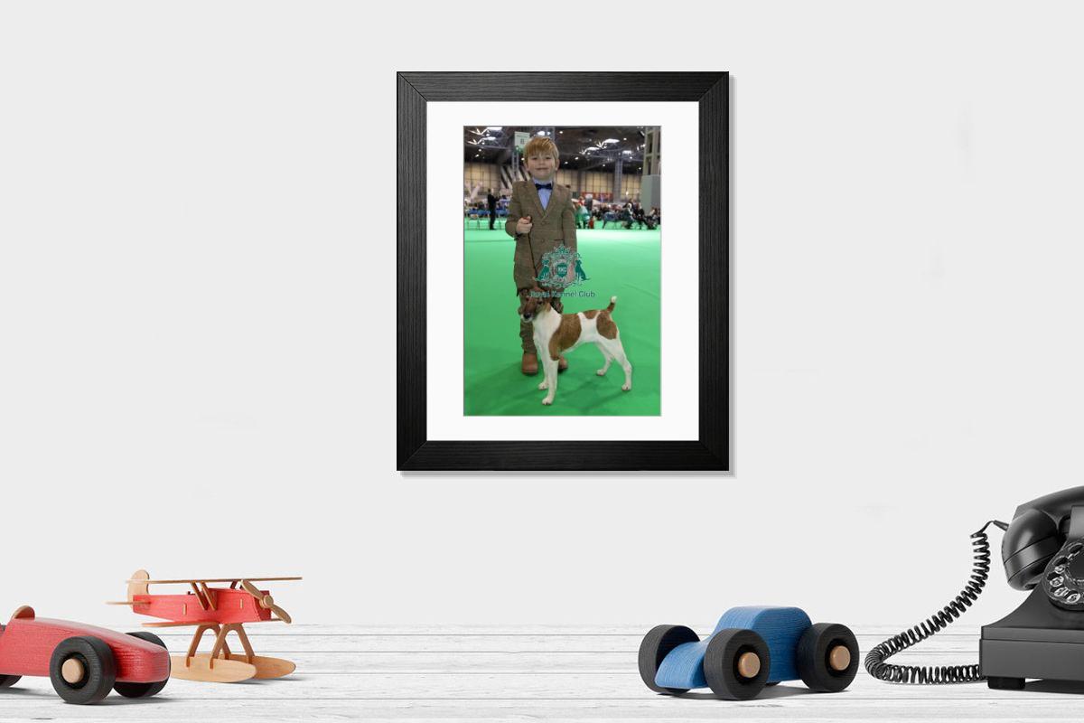 product preview 0