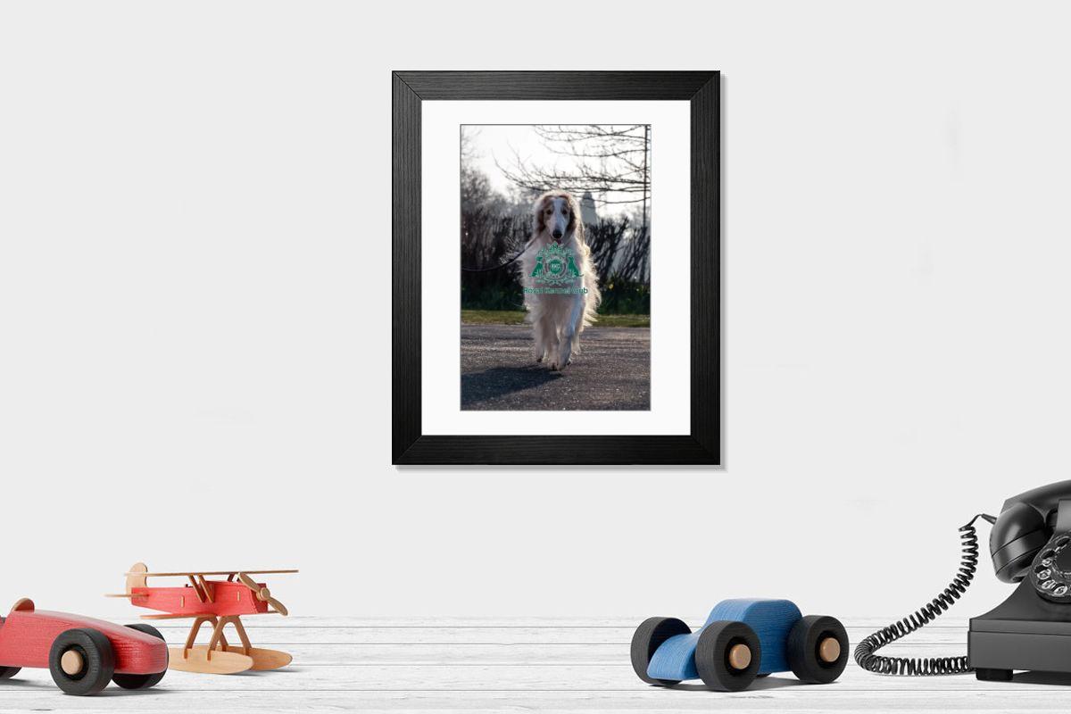 product preview 0