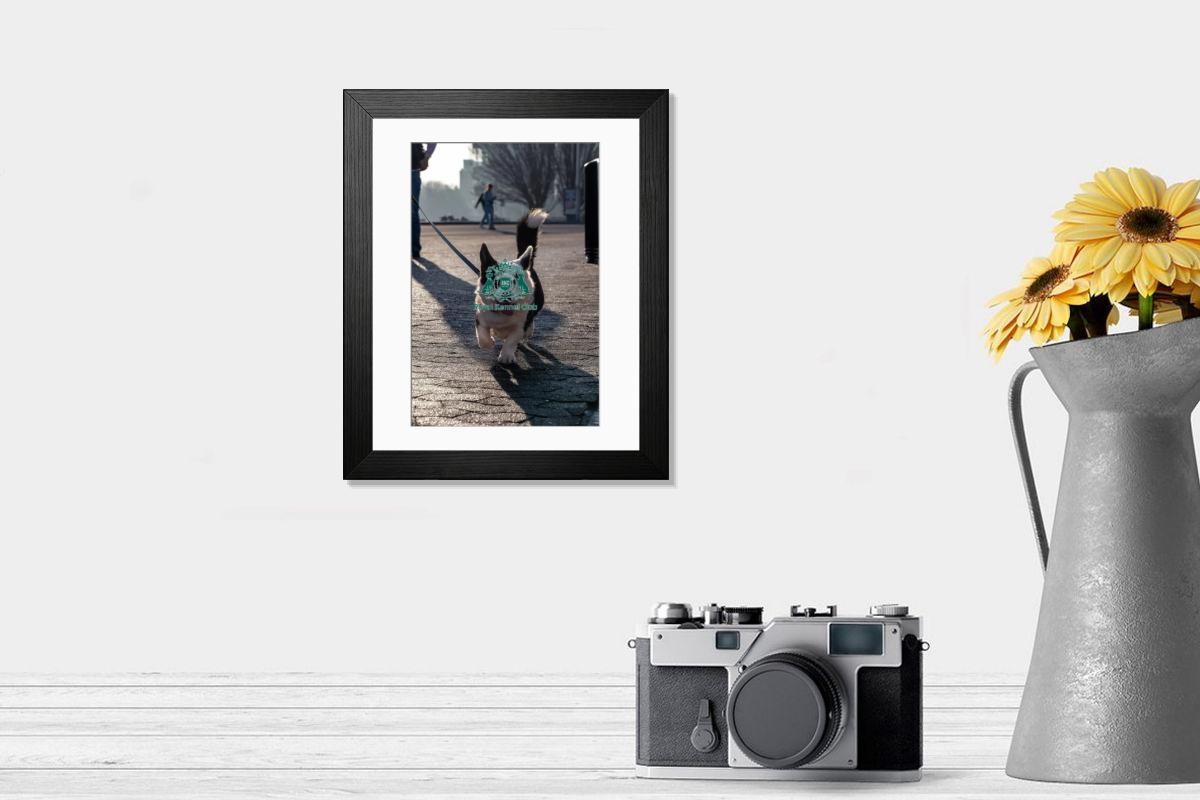 product preview 0