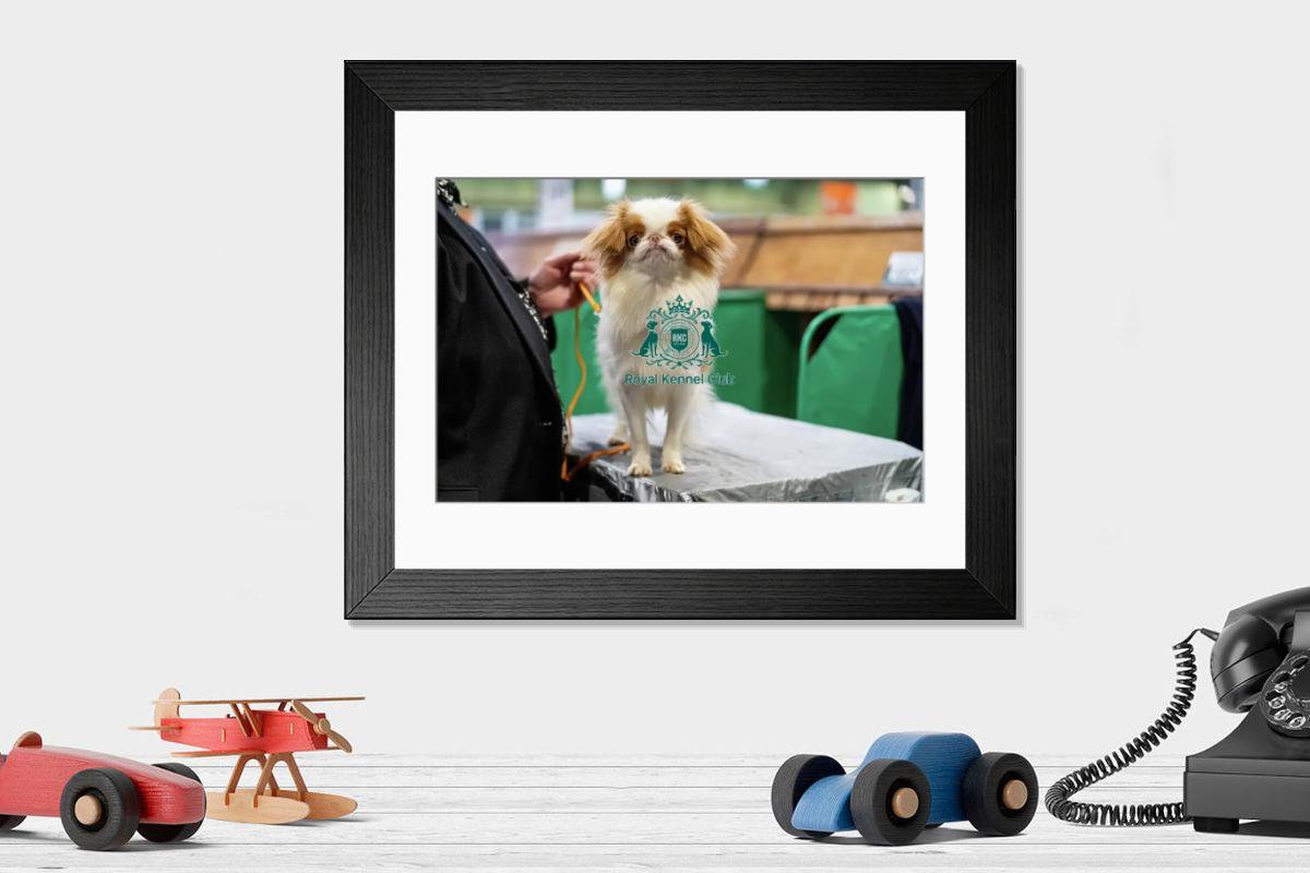 product preview 0