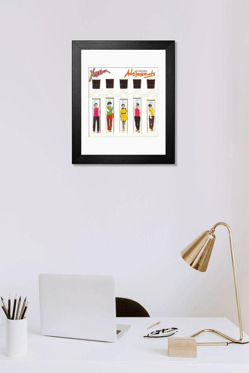 X-Ray Spex Germfree Adolescents Album Cover Print 1978. Art Prints 