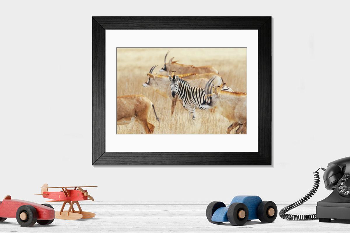 product preview 0