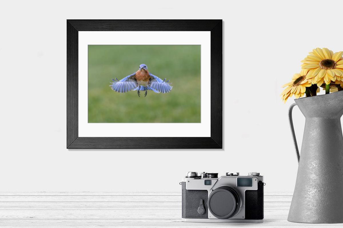 product preview 0
