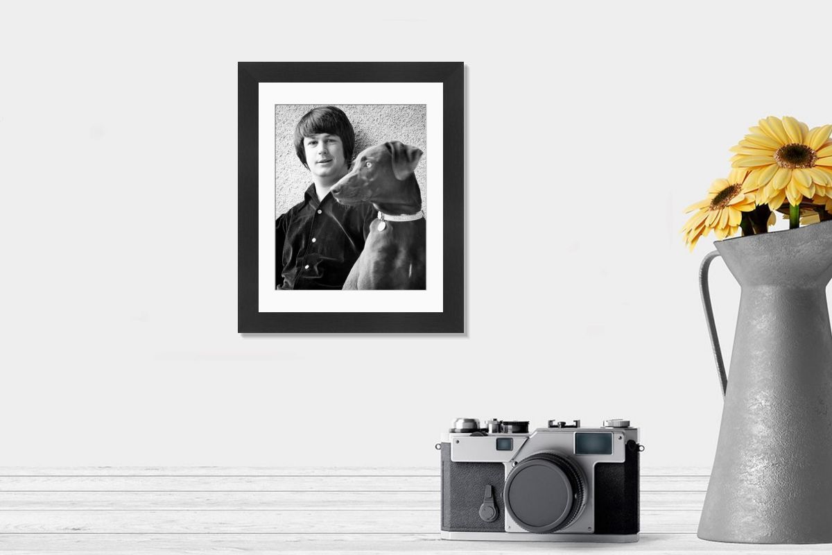 Fine Art Print of Brian Wilson with Dog in 1965 Los Angeles. Art