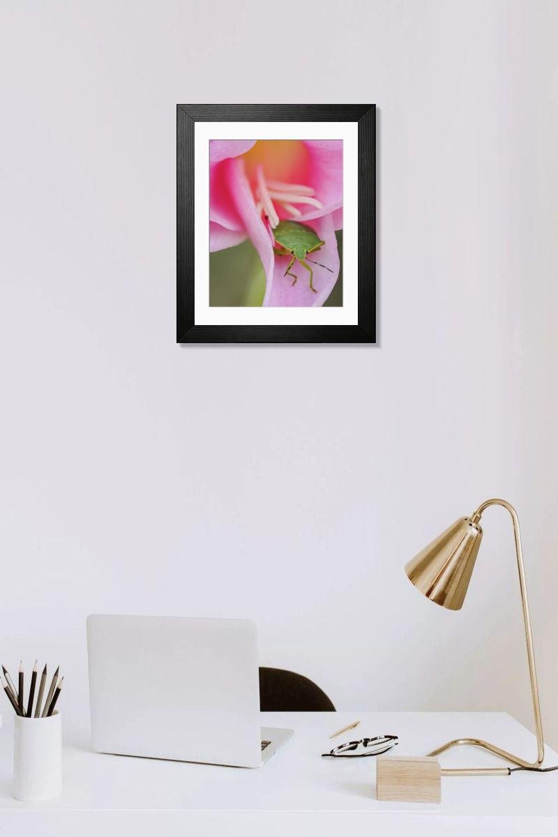 product preview 0