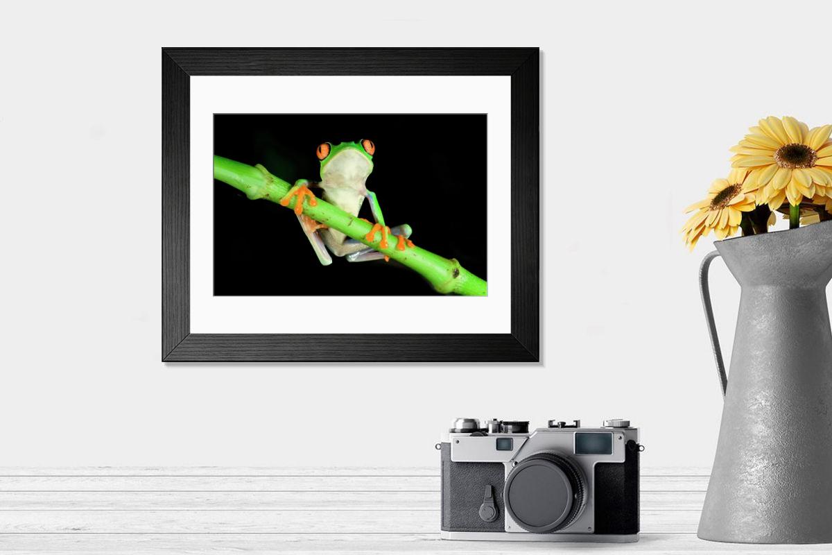 product preview 0
