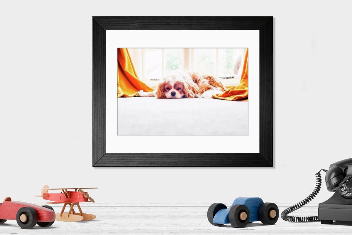 product preview 0