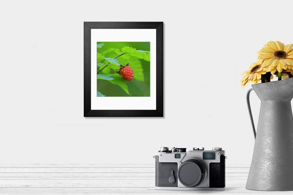 product preview 0