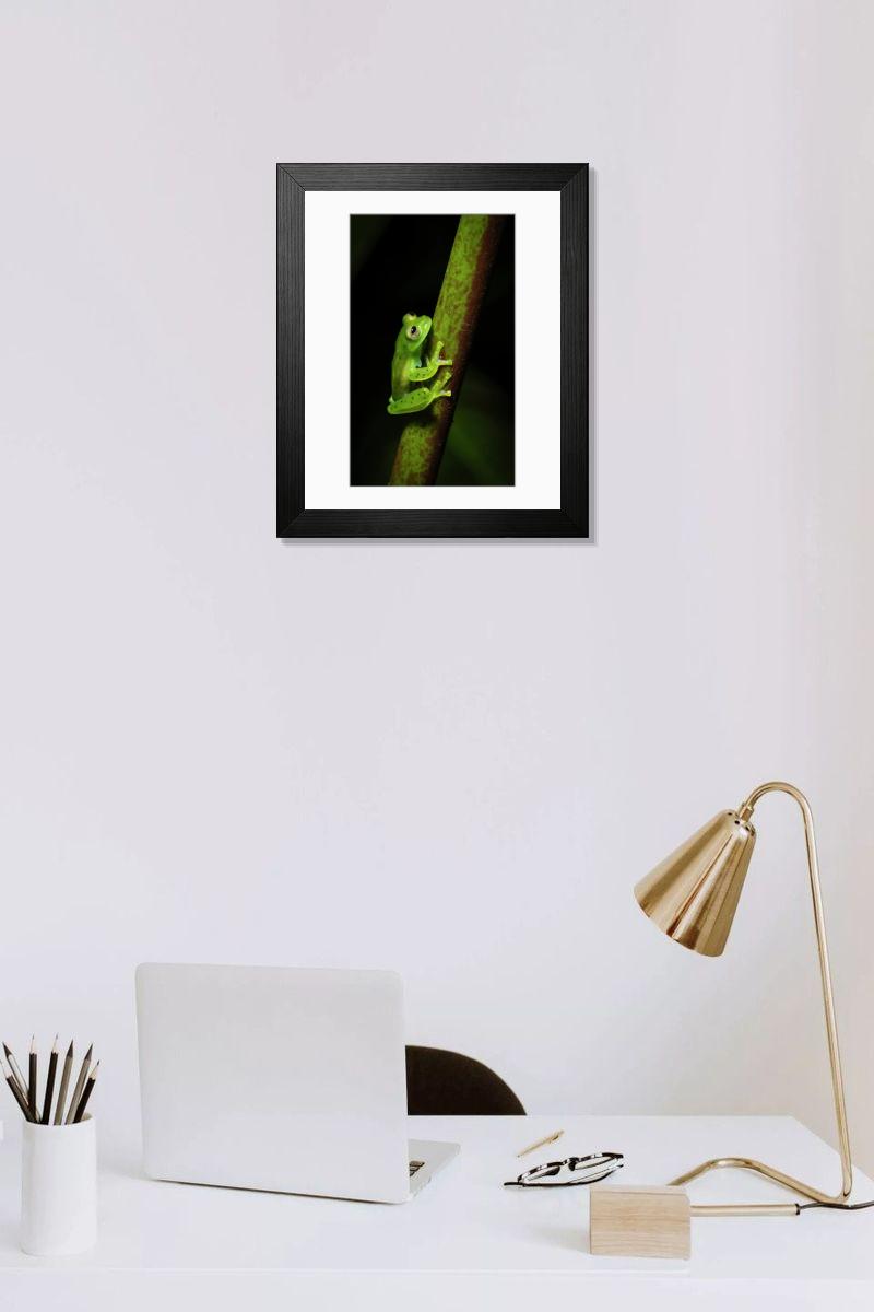 product preview 0