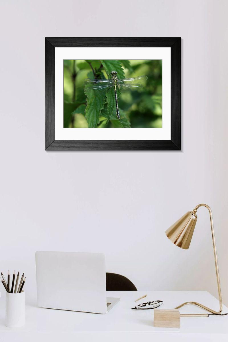 product preview 0