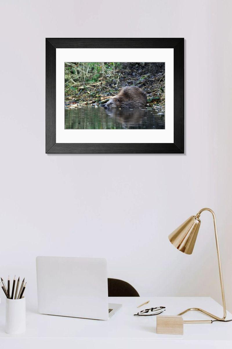Shown hanging in a room: Modern 14"x12" (36x31cm)