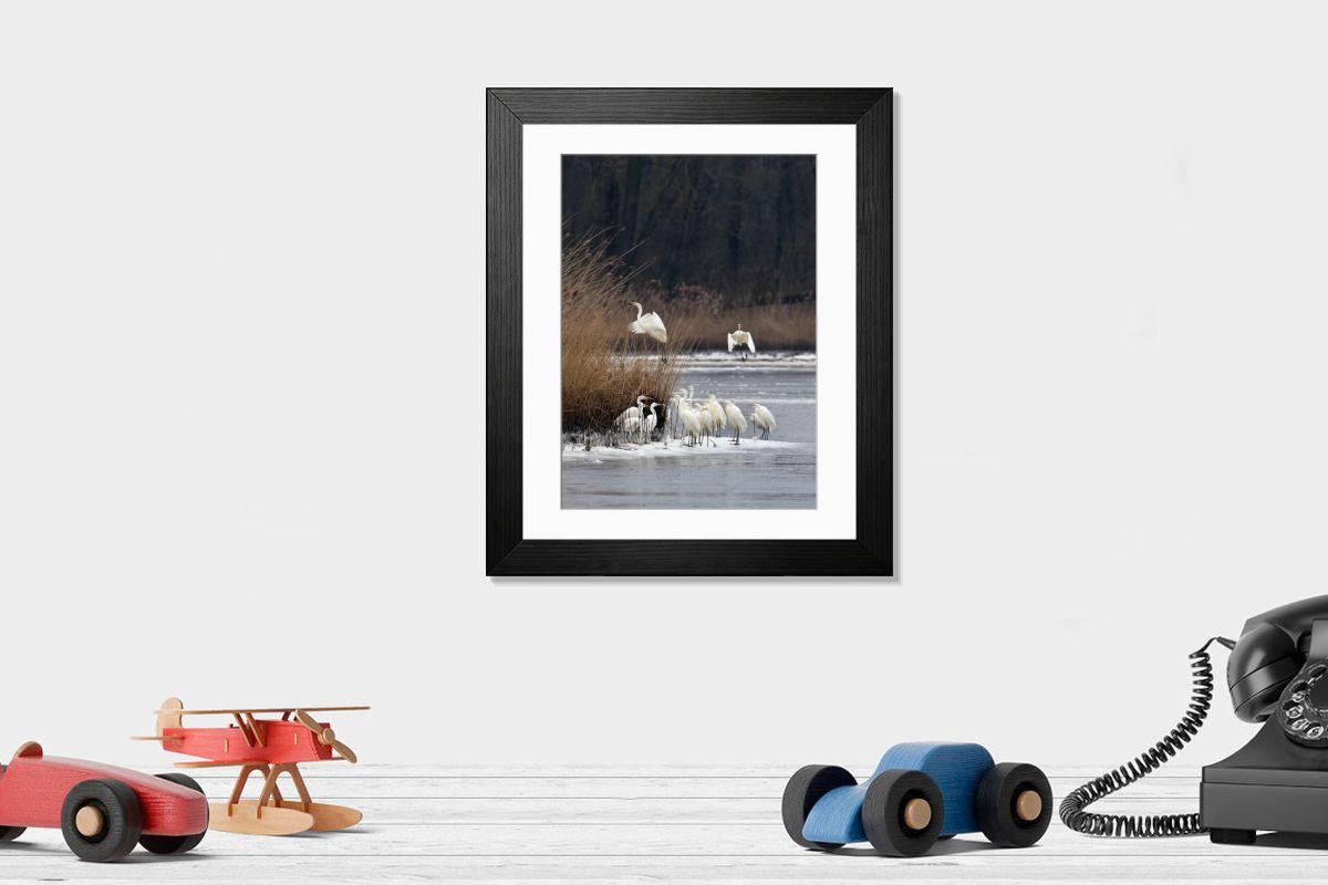 Shown hanging in a room: Modern 14"x12" (36x31cm)