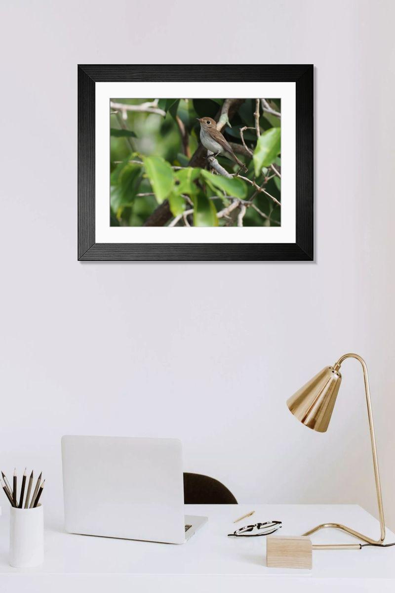Shown hanging in a room: Modern 14"x12" (36x31cm)