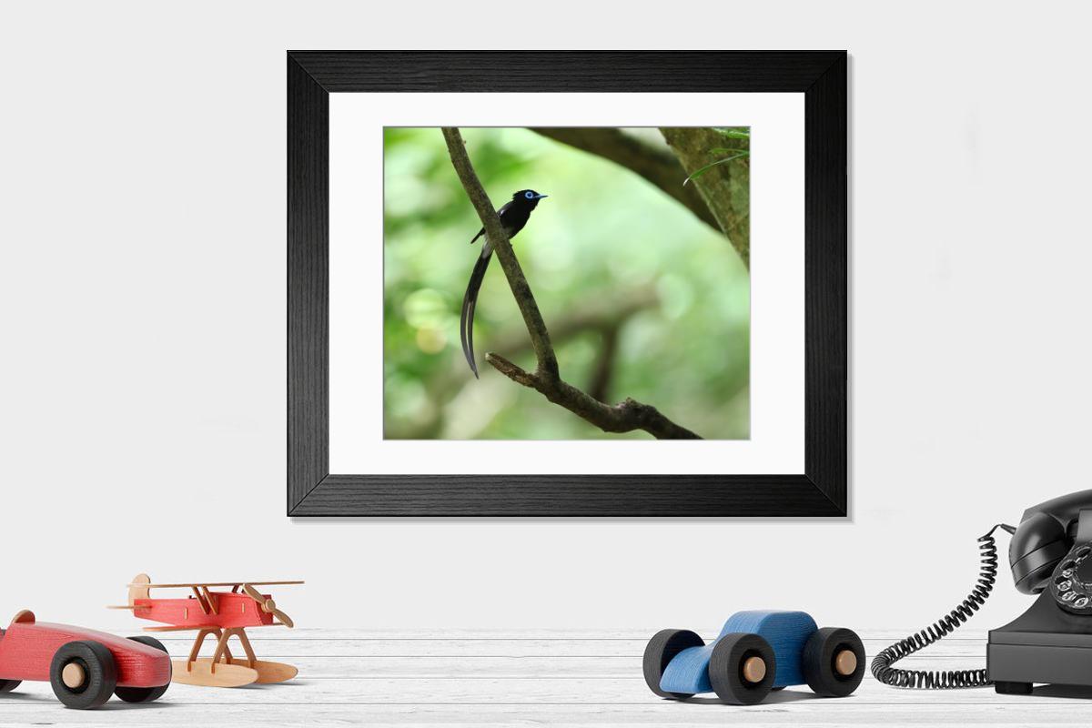 Shown hanging in a room: Modern 14"x12" (36x31cm)