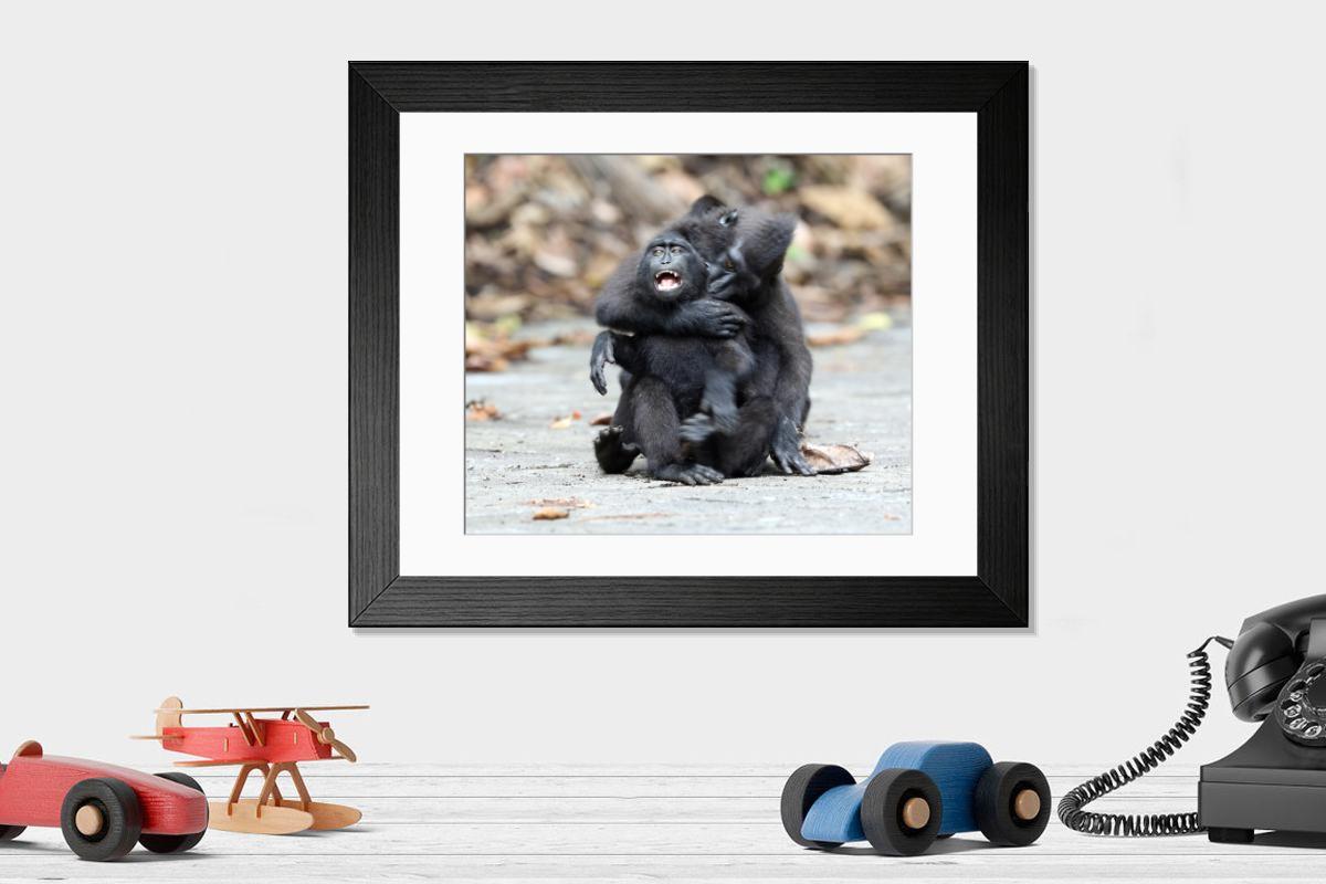product preview 0