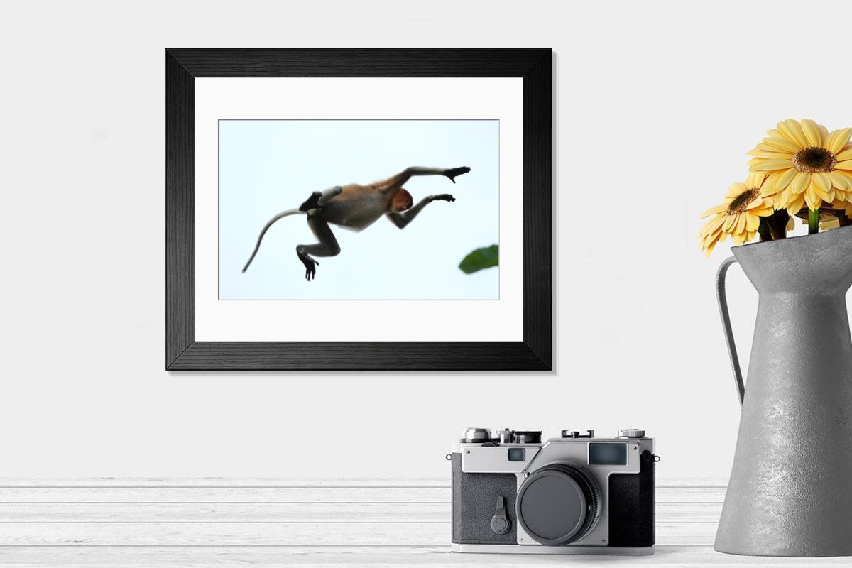 product preview 0