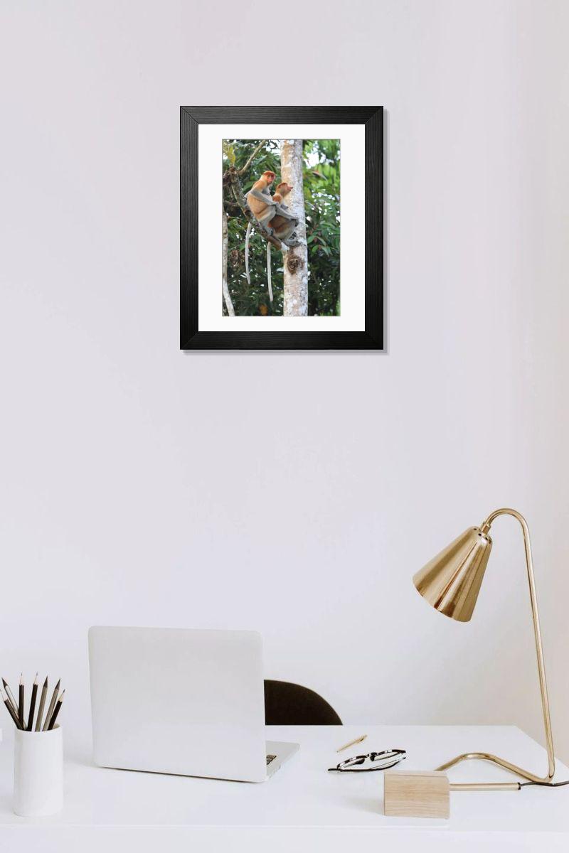 product preview 0