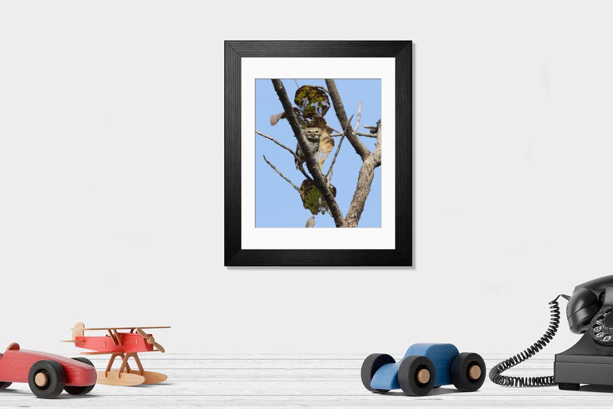 product preview 0