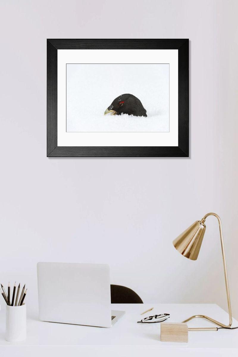 Shown hanging in a room: Modern 14"x12" (36x31cm)
