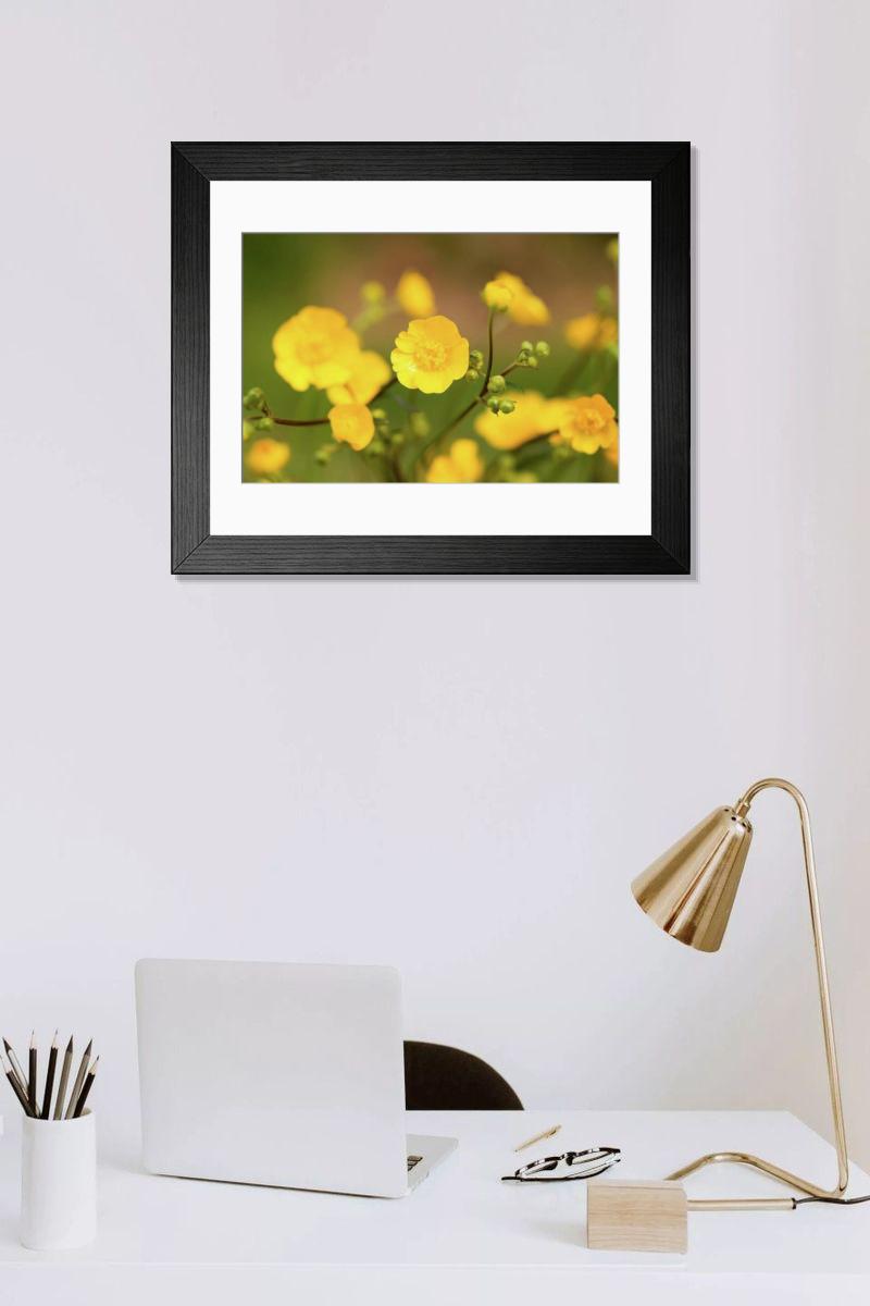 Shown hanging in a room: Modern 14"x12" (36x31cm)