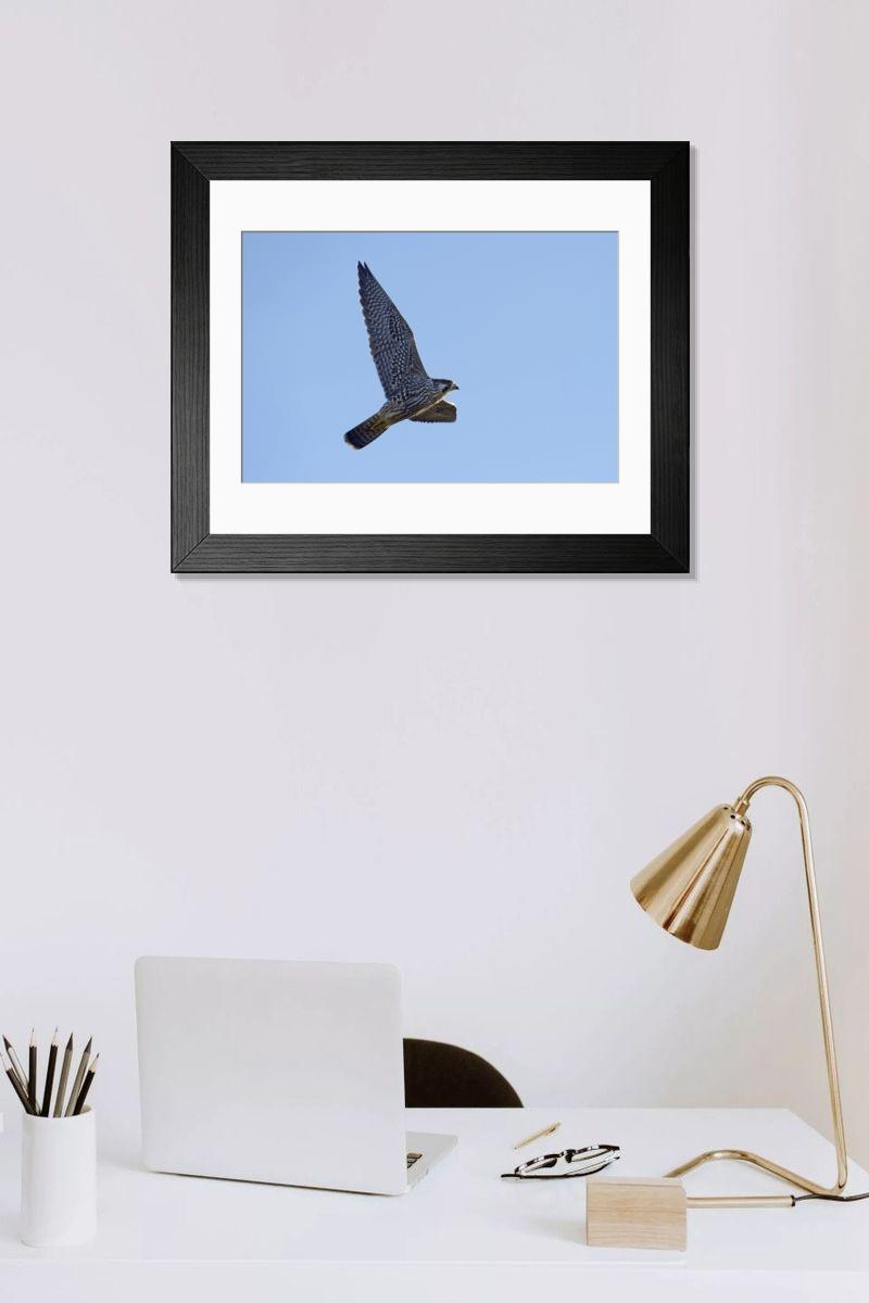 Shown hanging in a room: Modern 14"x12" (36x31cm)