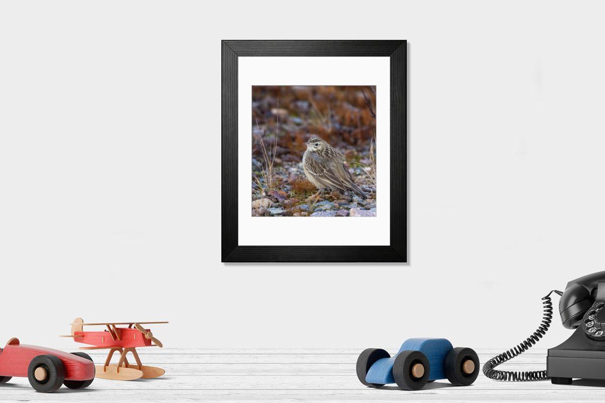 Shown hanging in a room: Modern 14"x12" (36x31cm)