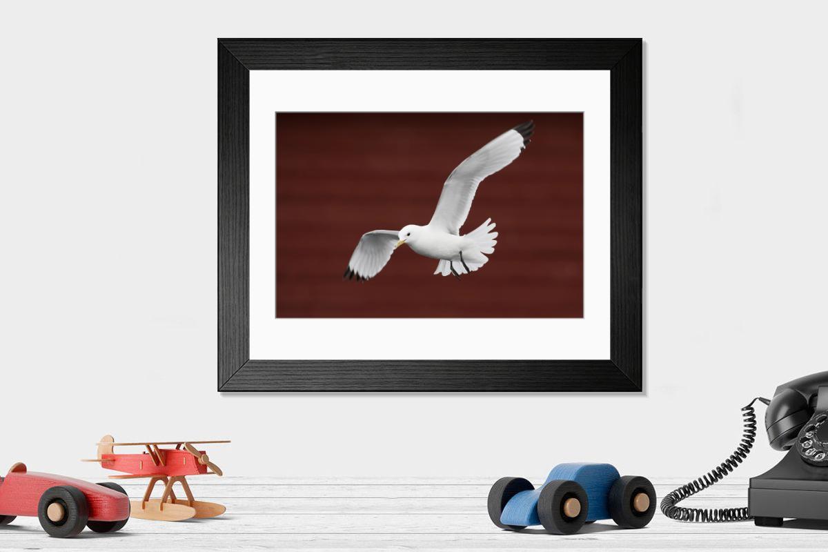 product preview 0